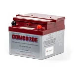 Bateria Concorde RG24-11M